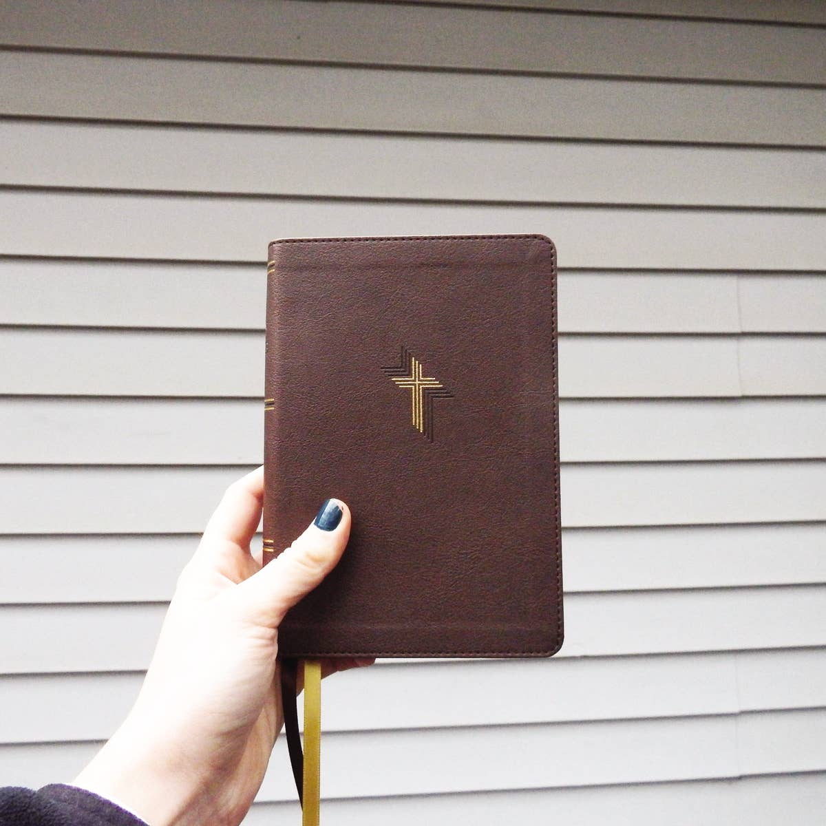 NIV, Larger Print Compact Bible
