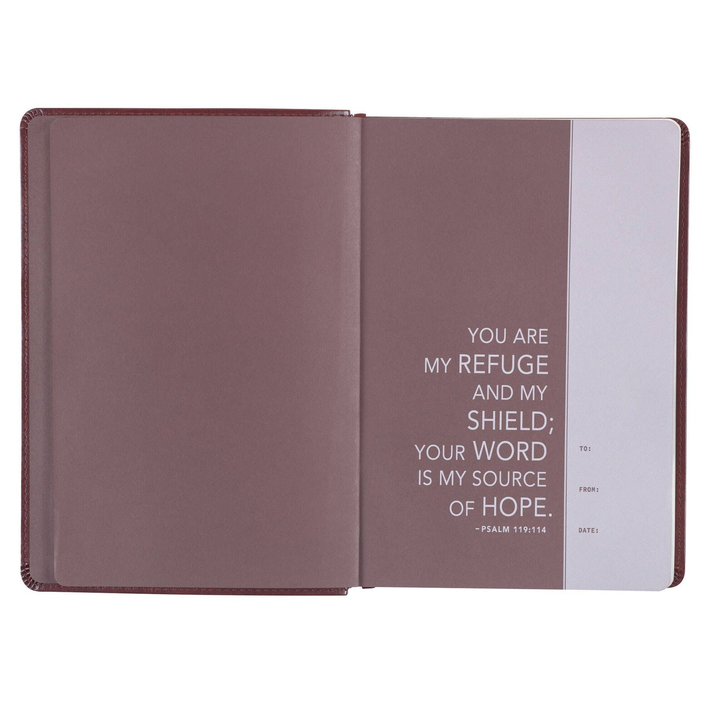 Devotional Bible NLT for Men Faux Leather, Saddle Tan