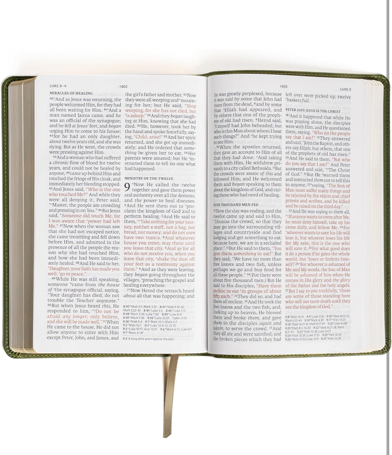 NASB Large Print Personal Size Reference Bible, Olive LeatherTouch, Red Letter, Presentation Page, Cross-References, Full-Color Maps, Easy-to-Read Bible