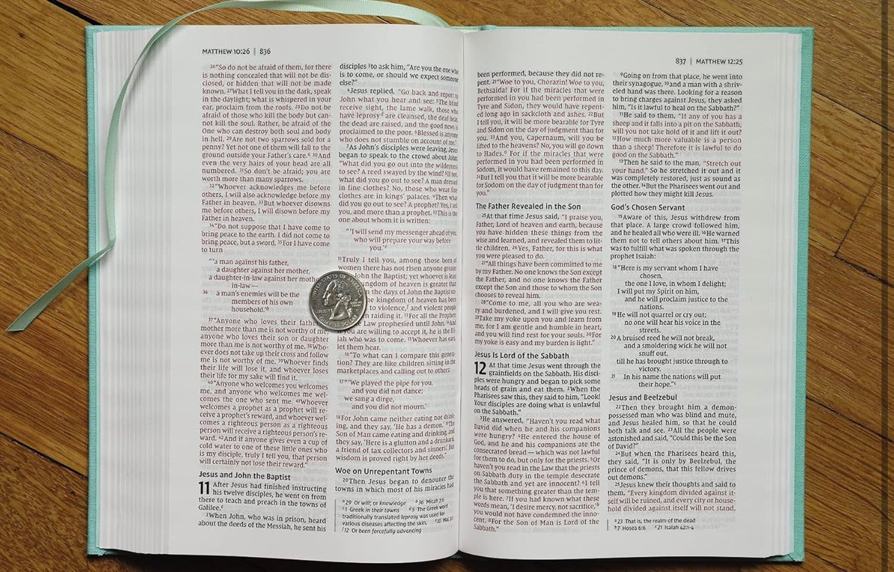 NIV Bible for Teens, Cloth over Board, Floral, Red Letter