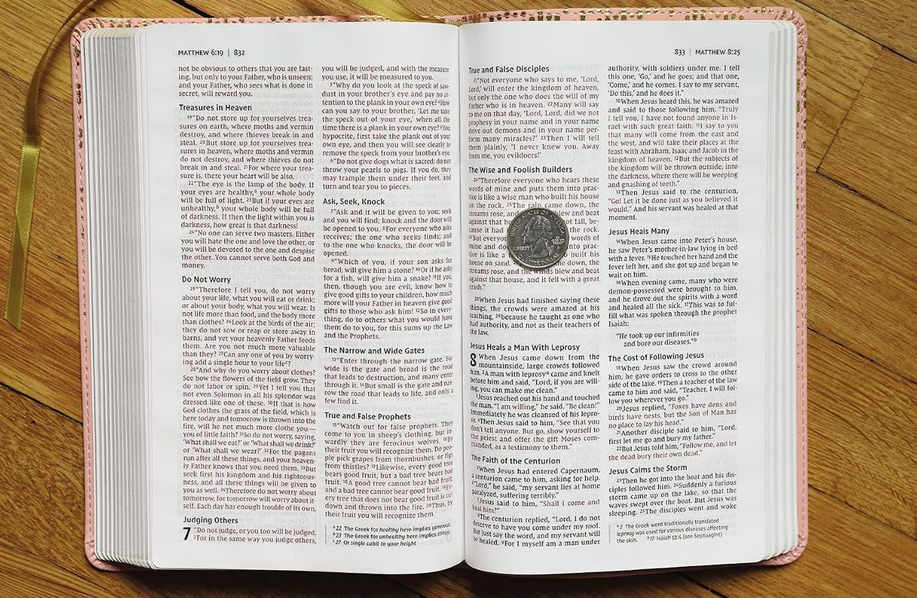NIV Bible for Teens, Pink, Red Letter
