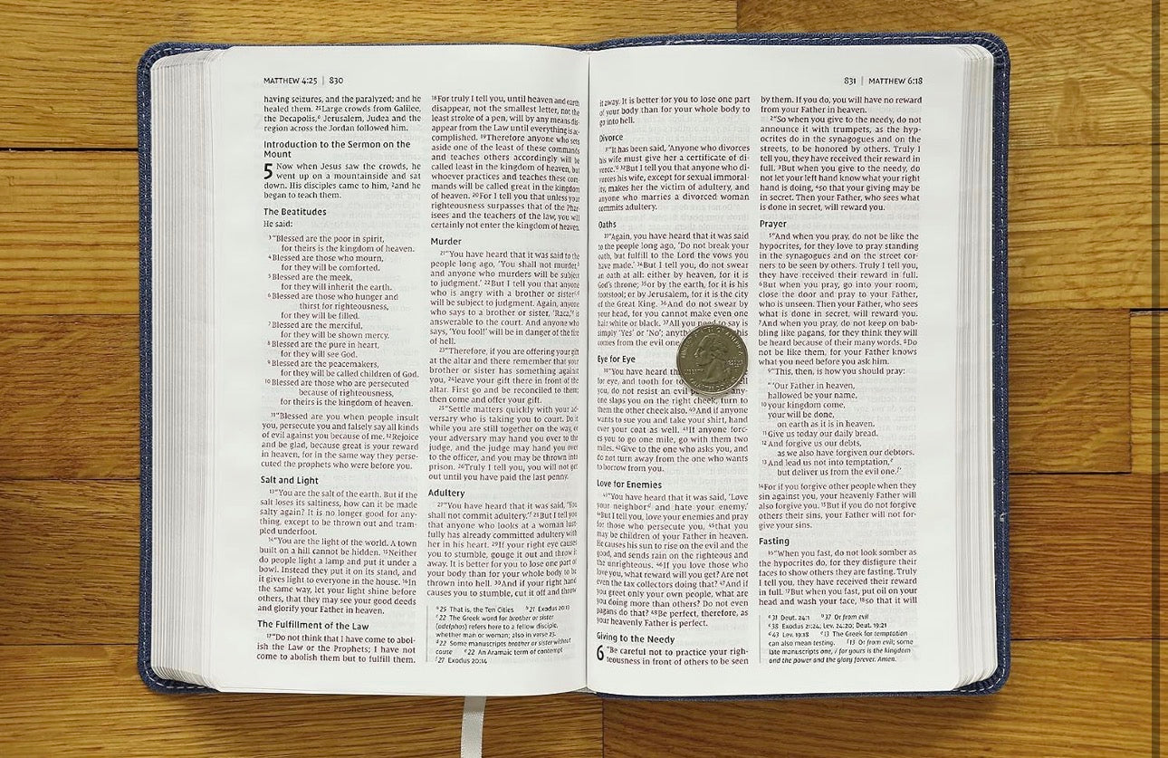 NIV Bible for Teens, Blue, Red Letter