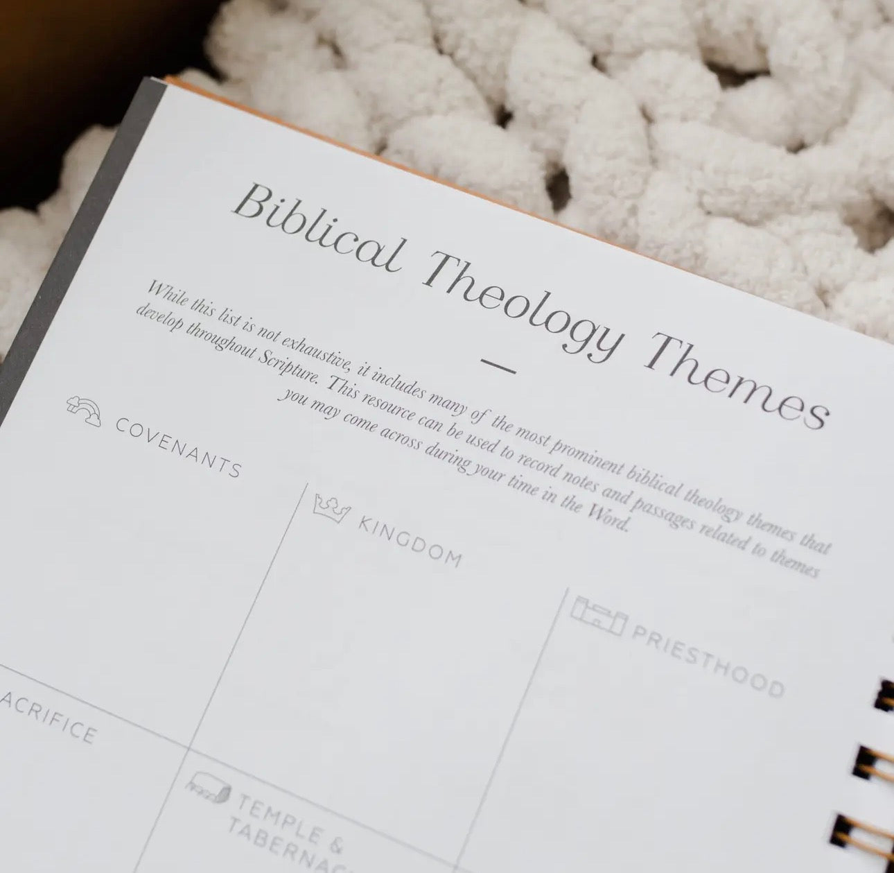 In the Word Daily Grace Journal - Embossed