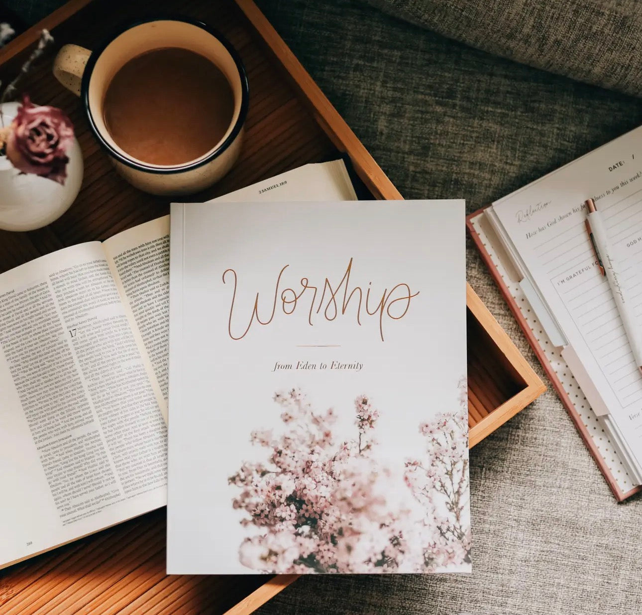 Worship ~ Daily Grace Bible Study Book