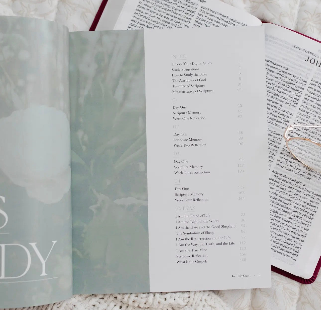 I Am ~ Daily Grace Book