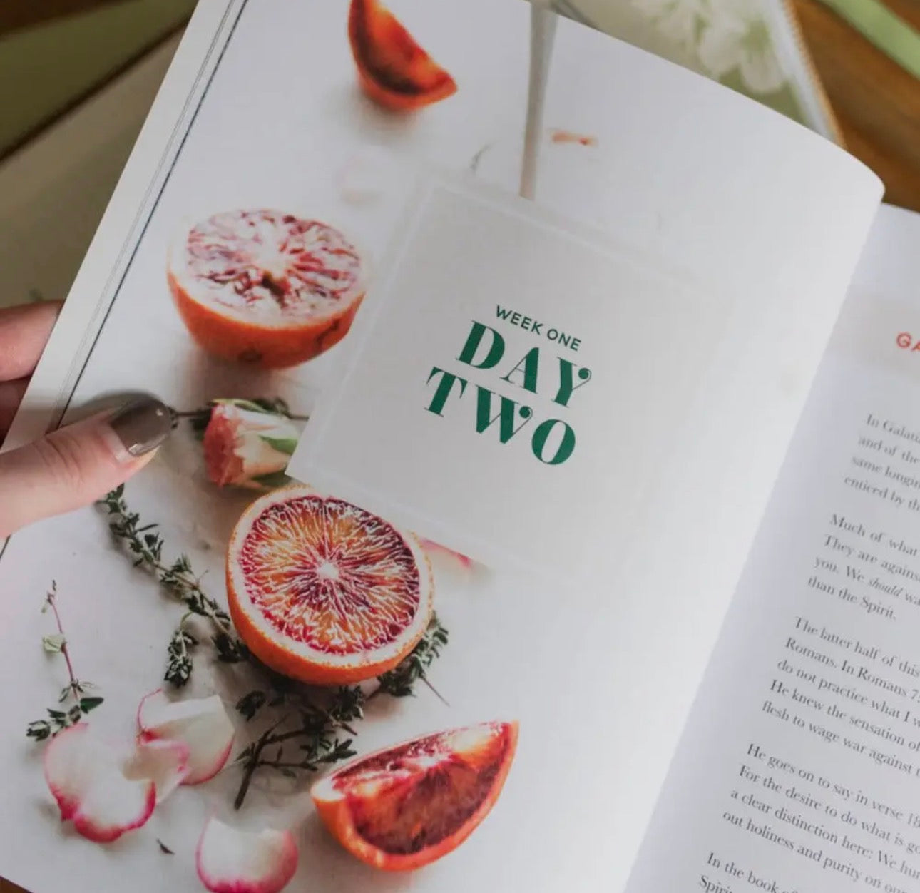 The Fruit of the Spirit ~ Daily Grace Bible Study Book