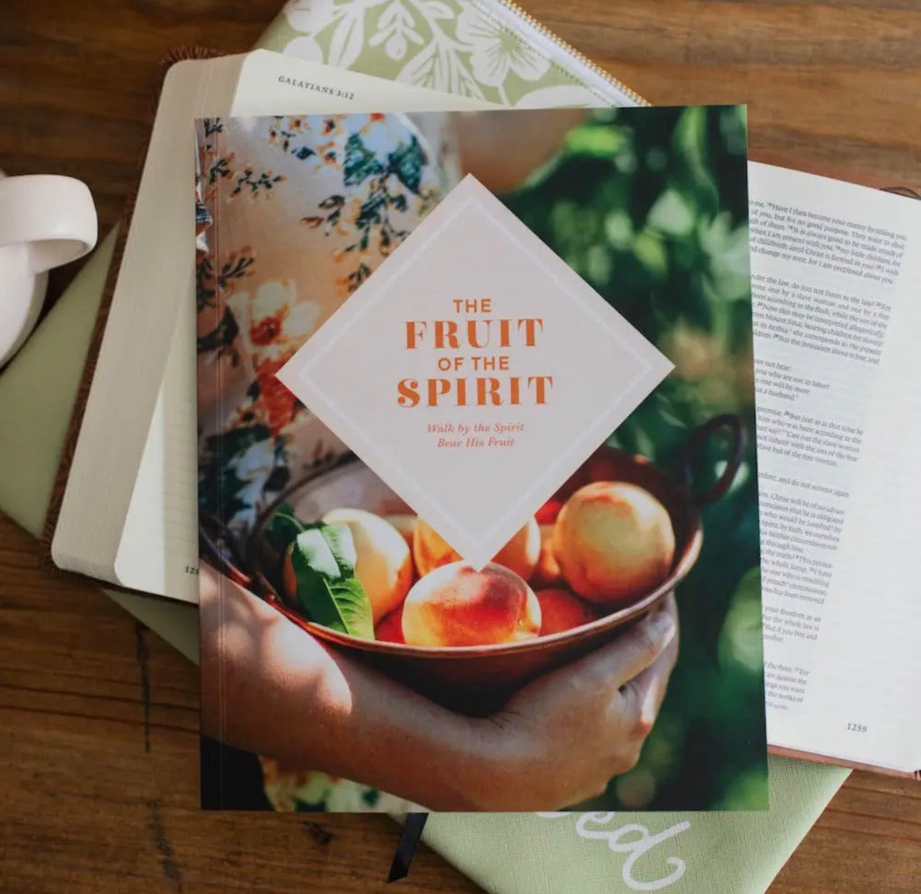The Fruit of the Spirit ~ Daily Grace Bible Study Book