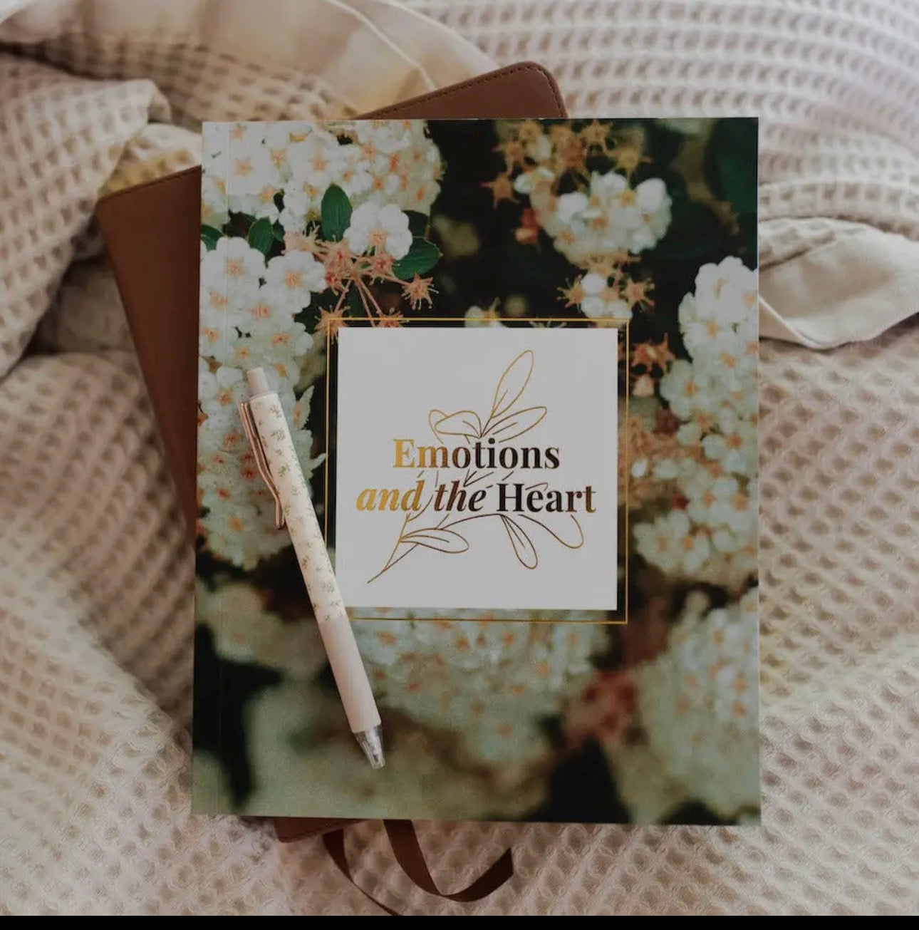 Emotions and the Heart ~ Daily Grace Bible Study Book