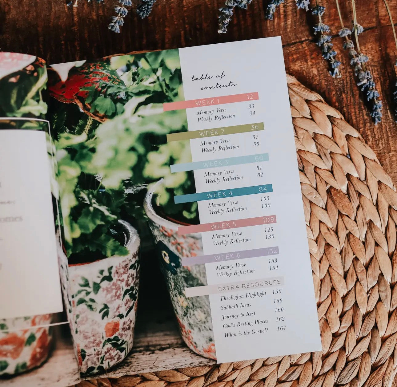 Rest~ Daily Grace Bible Study Book