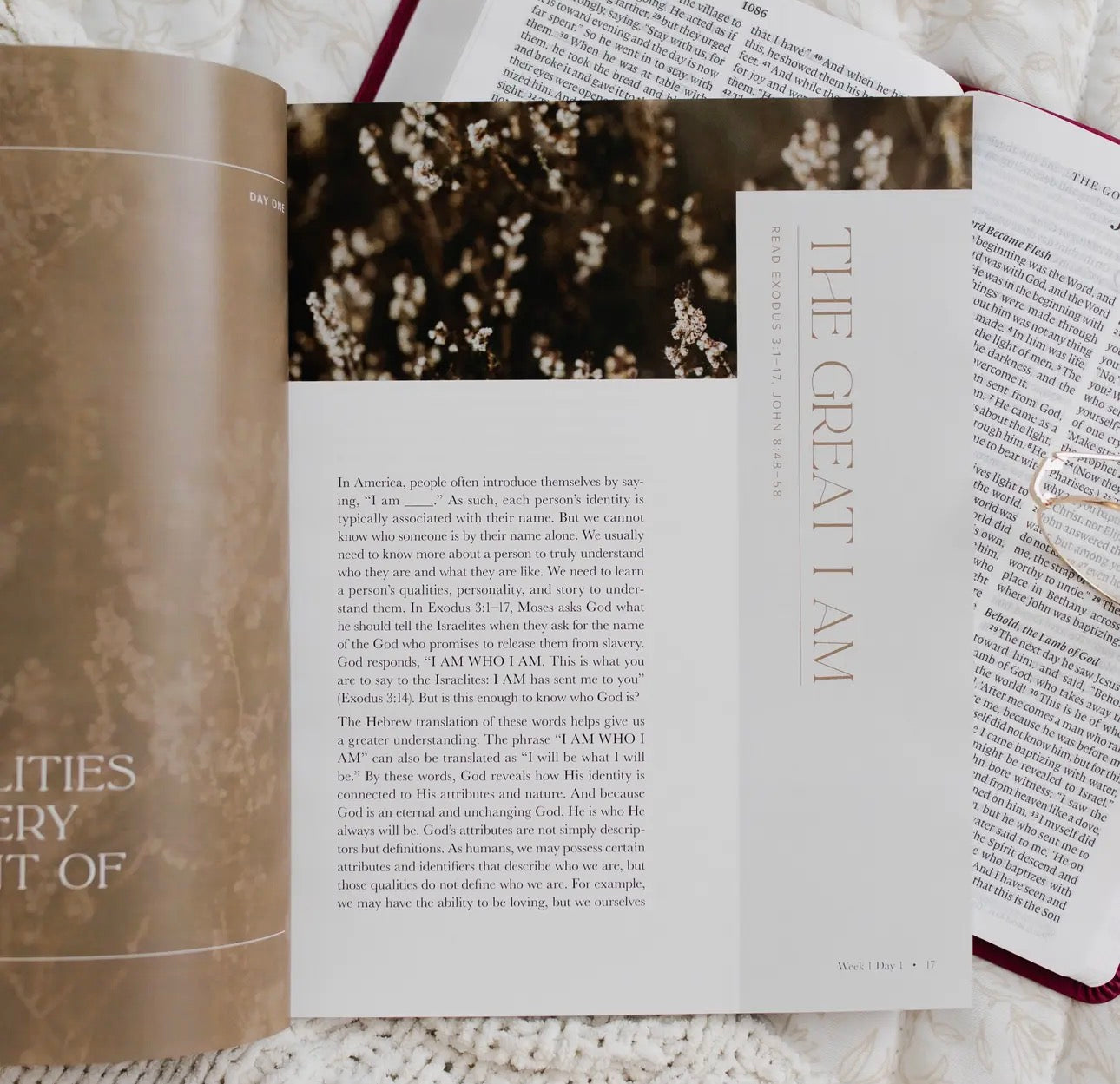 I Am ~ Daily Grace Book