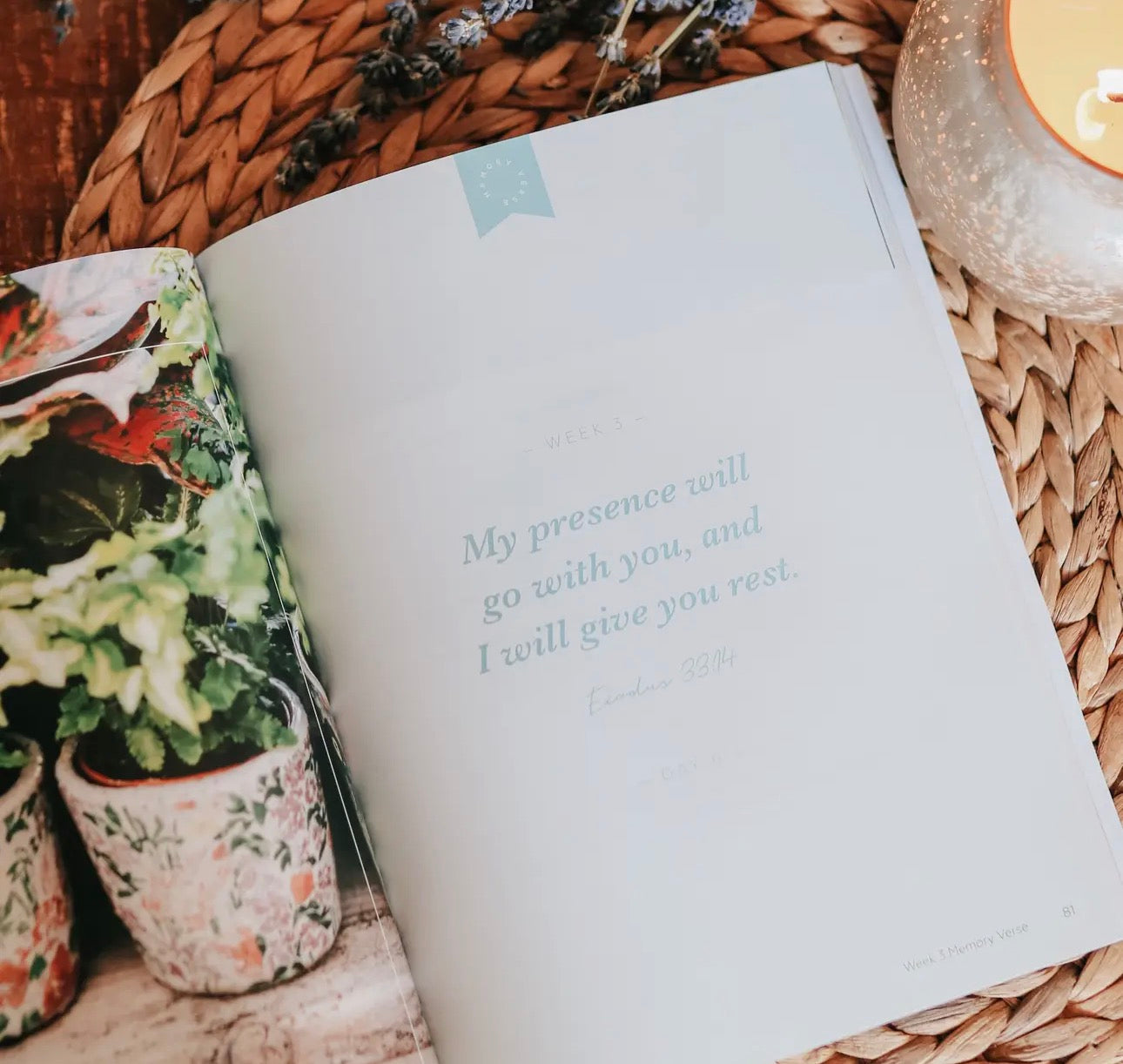 Rest~ Daily Grace Bible Study Book