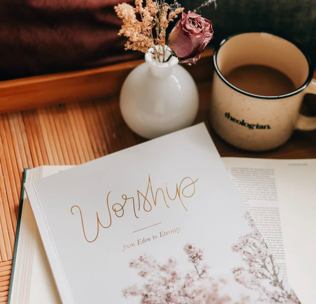 Worship ~ Daily Grace Bible Study Book
