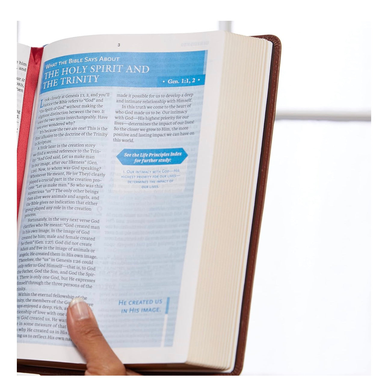 The Charles F. Stanley Life Principles Bible, 2nd Edition NIV