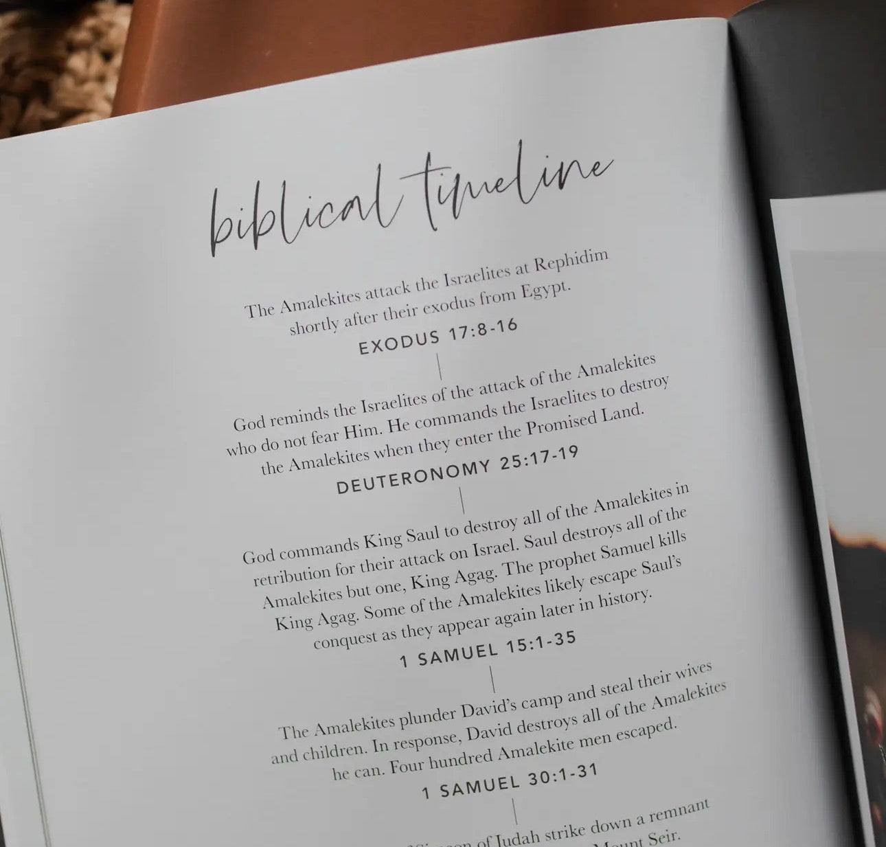 Esther ~ Daily Grace Bible Study Book