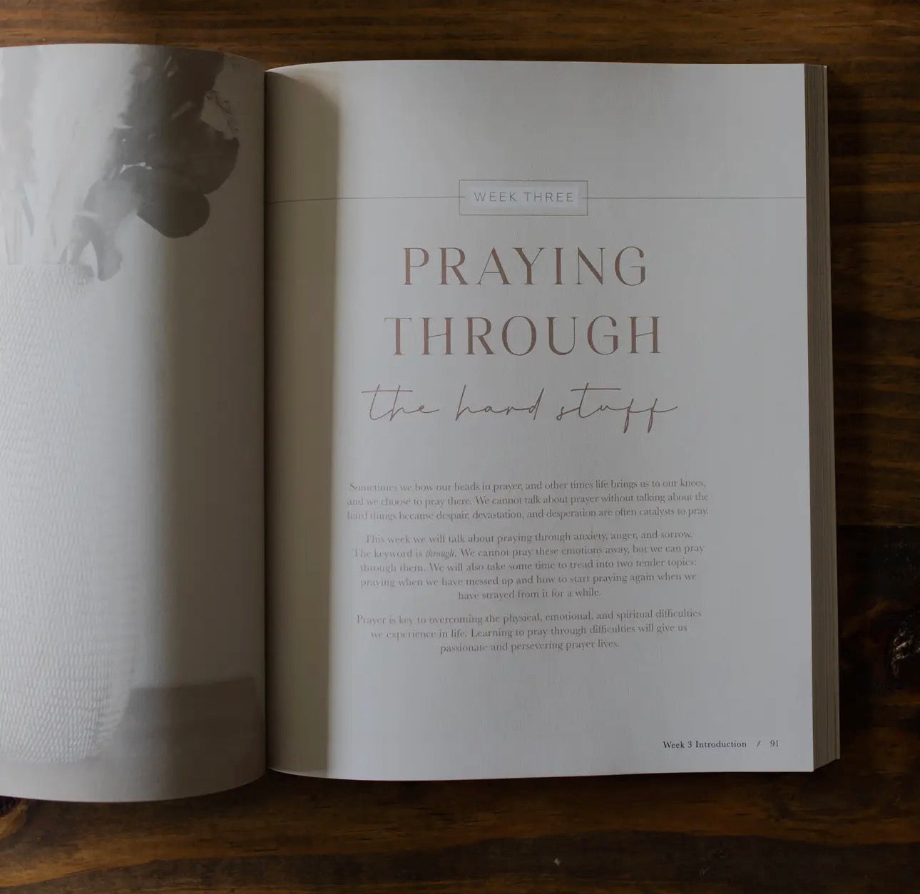 Pray~ Daily Grace Bible Study Book