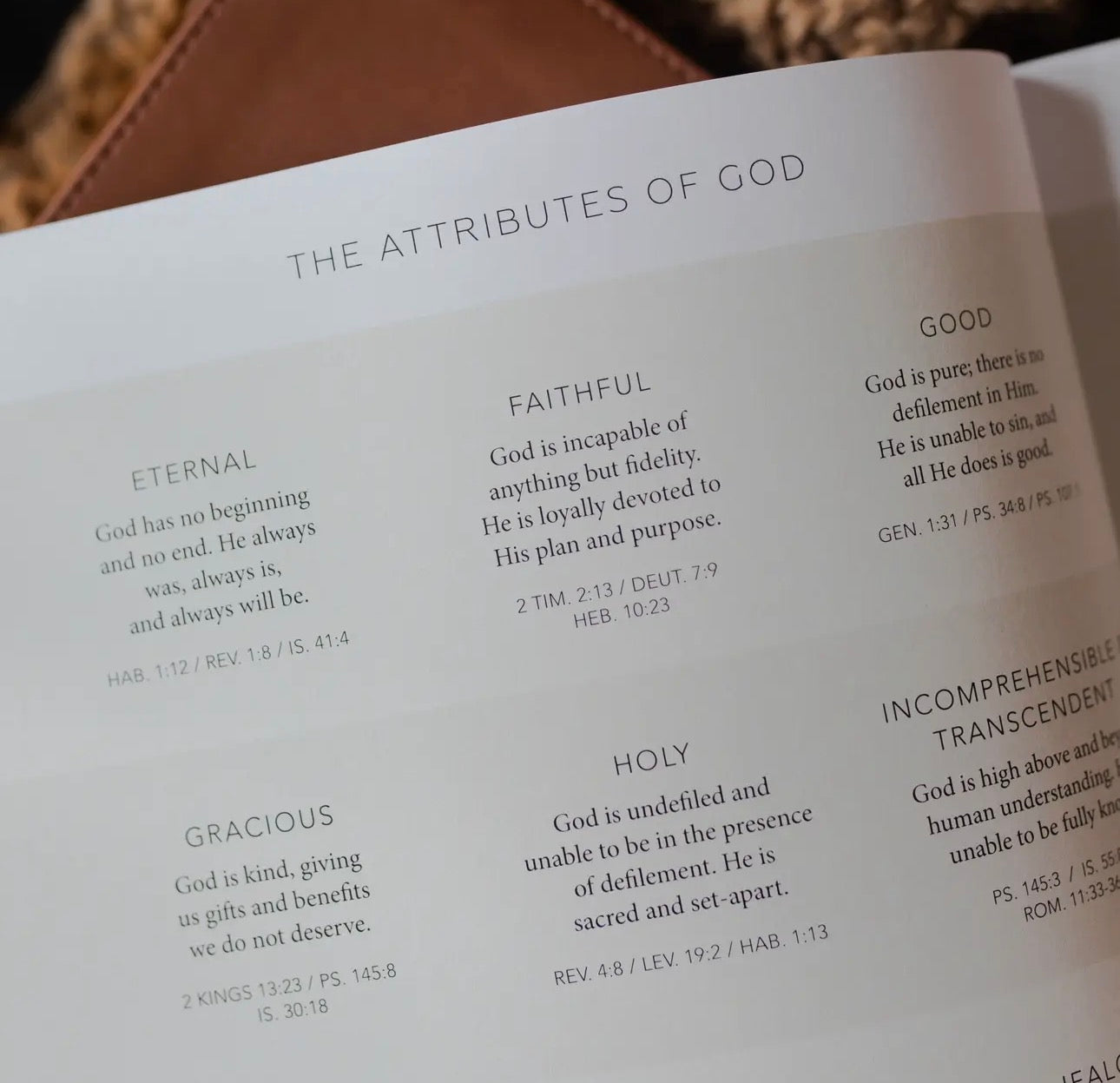 Esther ~ Daily Grace Bible Study Book