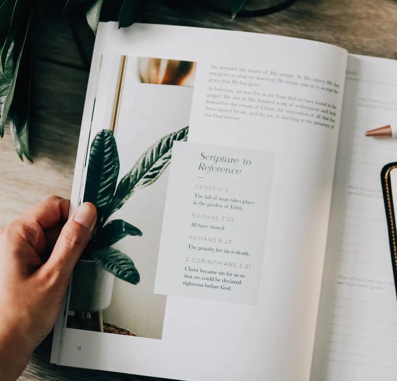 Search the Word ~ Daily Grace Bible Study Book
