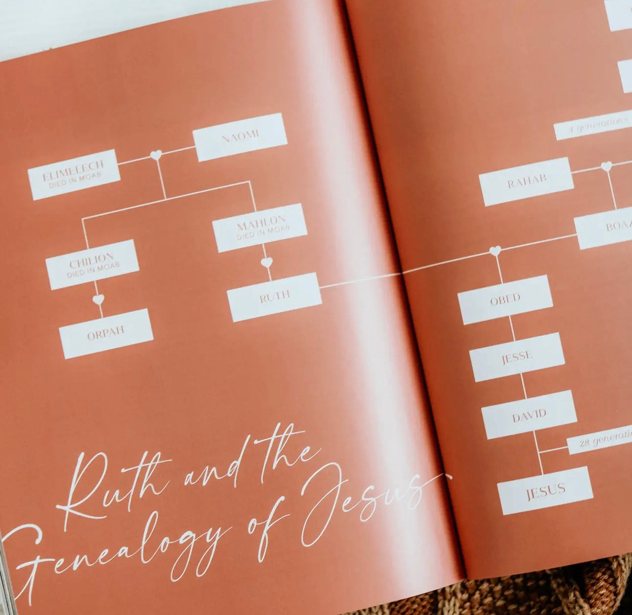 Ruth ~ Daily Grace Bible Study Book