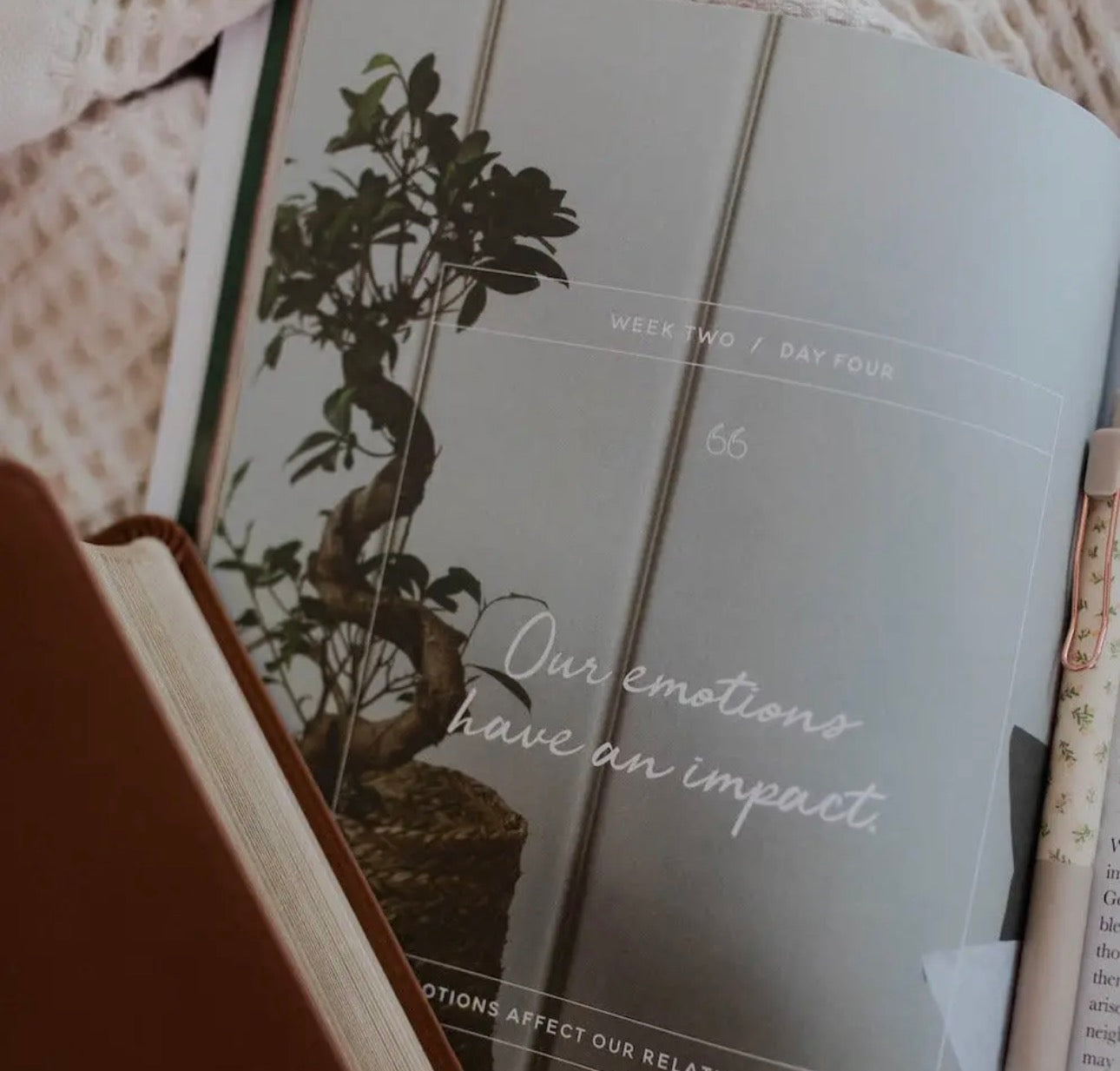 Emotions and the Heart ~ Daily Grace Bible Study Book