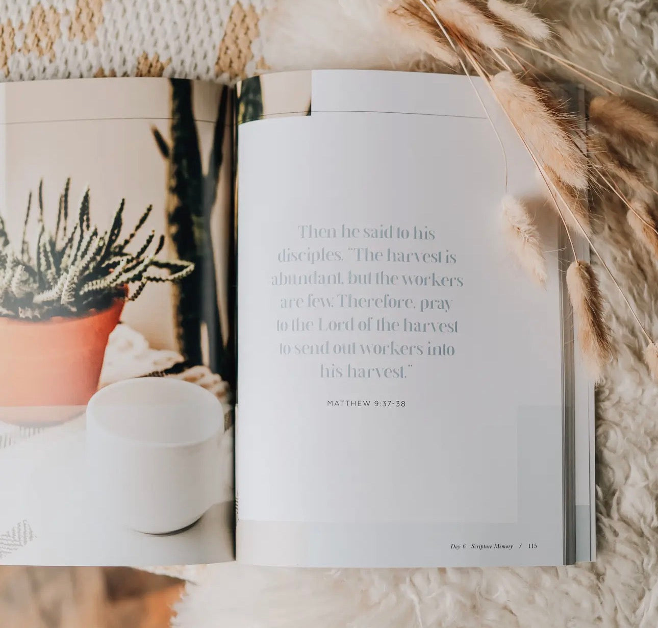 Sharing Our Faith ~ Daily Grace Bible Study Book