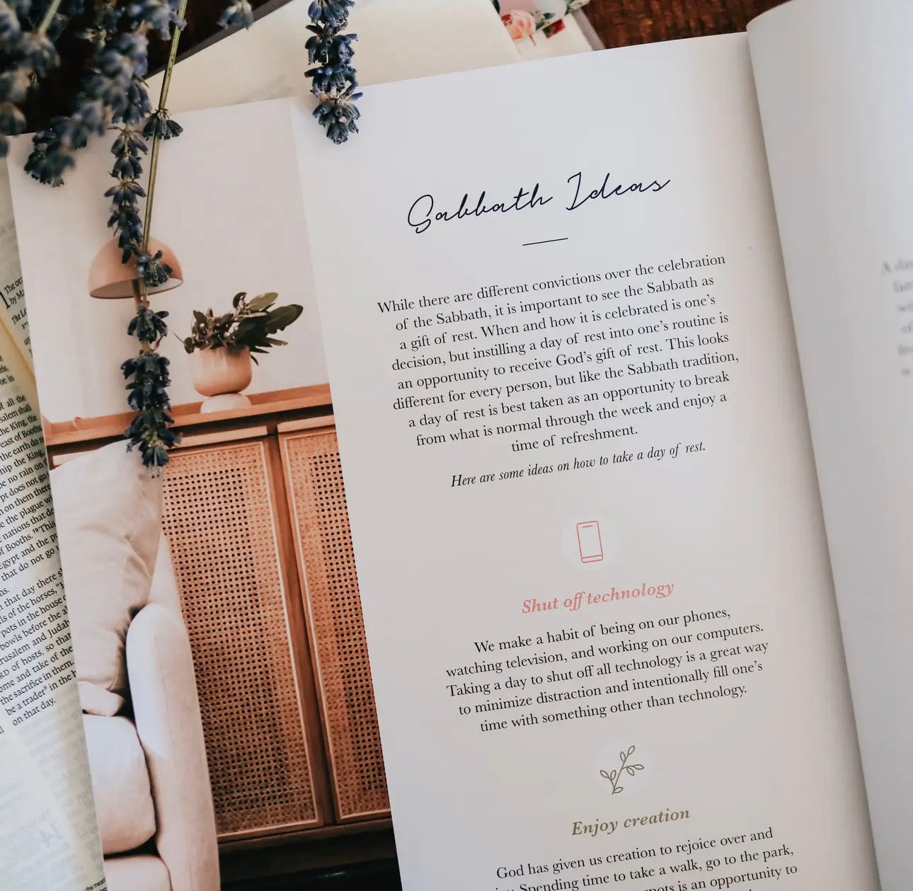 Rest~ Daily Grace Bible Study Book