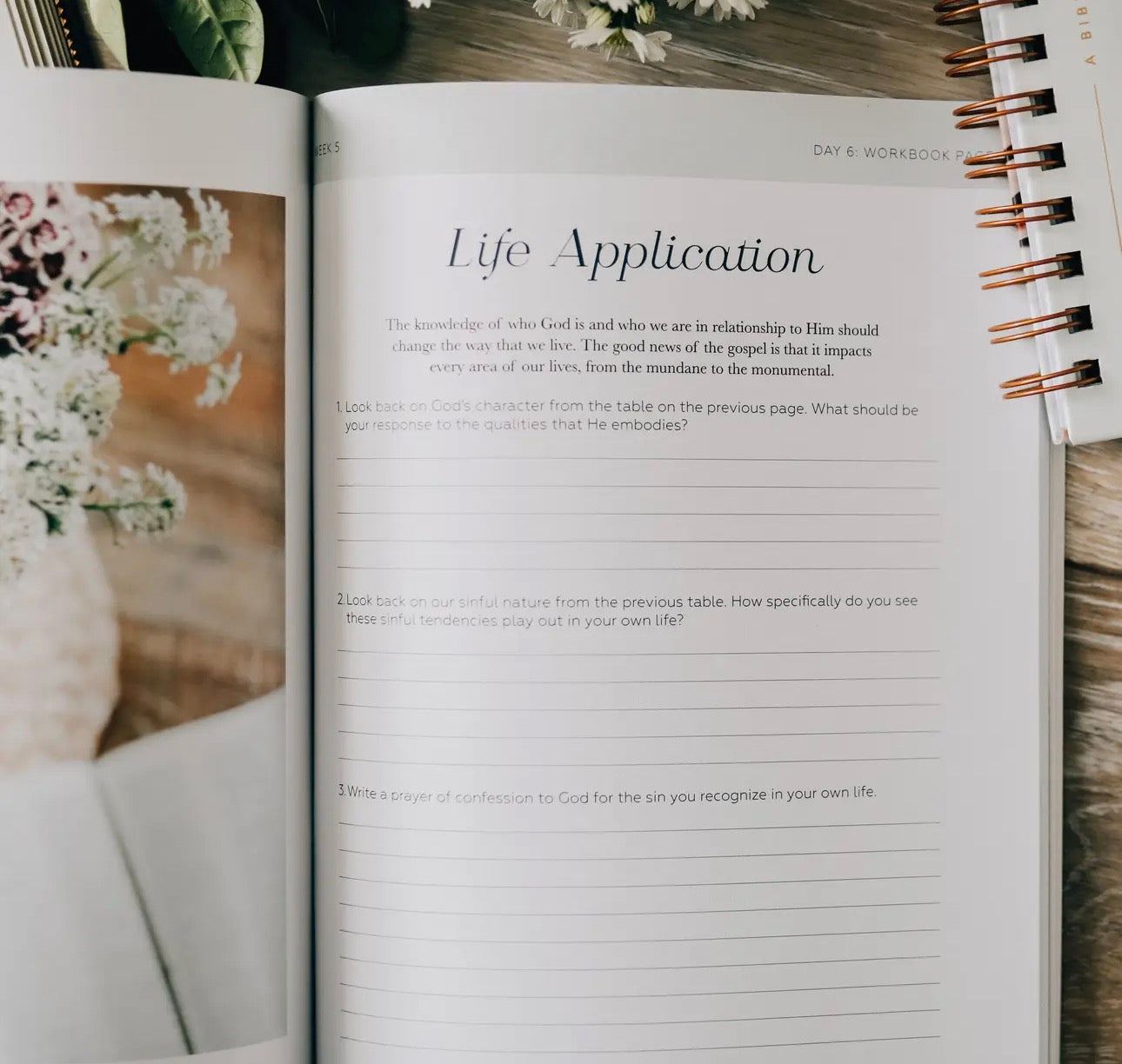 Search the Word ~ Daily Grace Bible Study Book