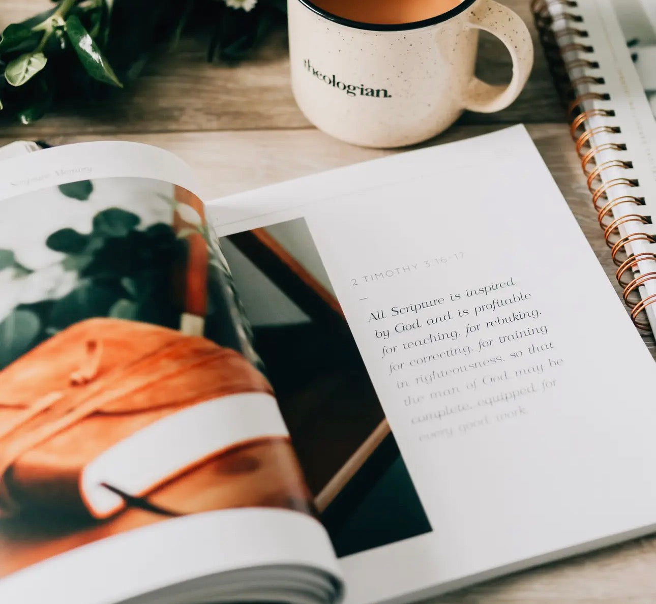 Search the Word ~ Daily Grace Bible Study Book