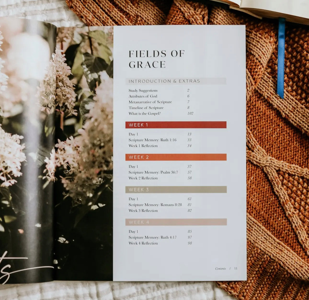 Ruth ~ Daily Grace Bible Study Book