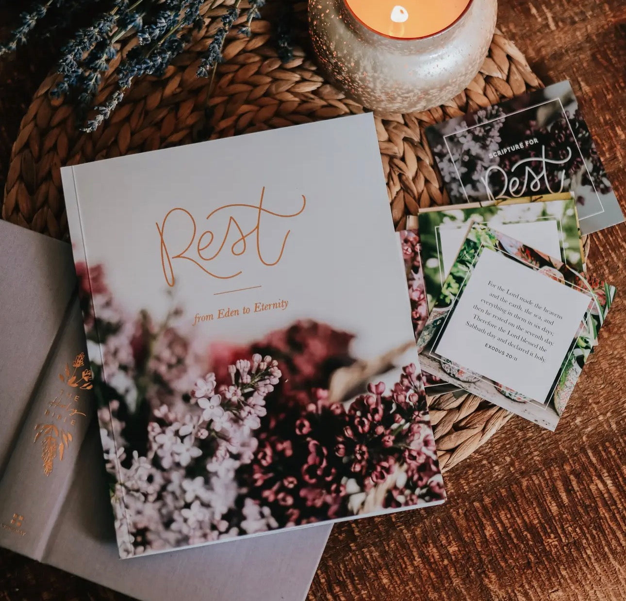 Rest~ Daily Grace Bible Study Book
