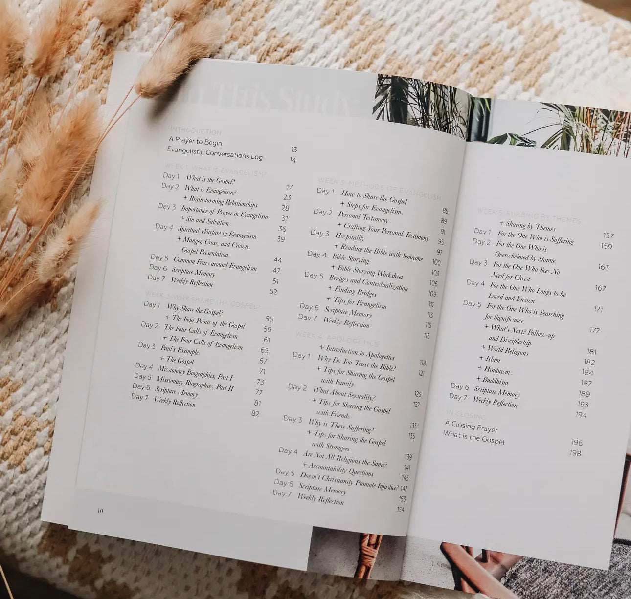 Sharing Our Faith ~ Daily Grace Bible Study Book