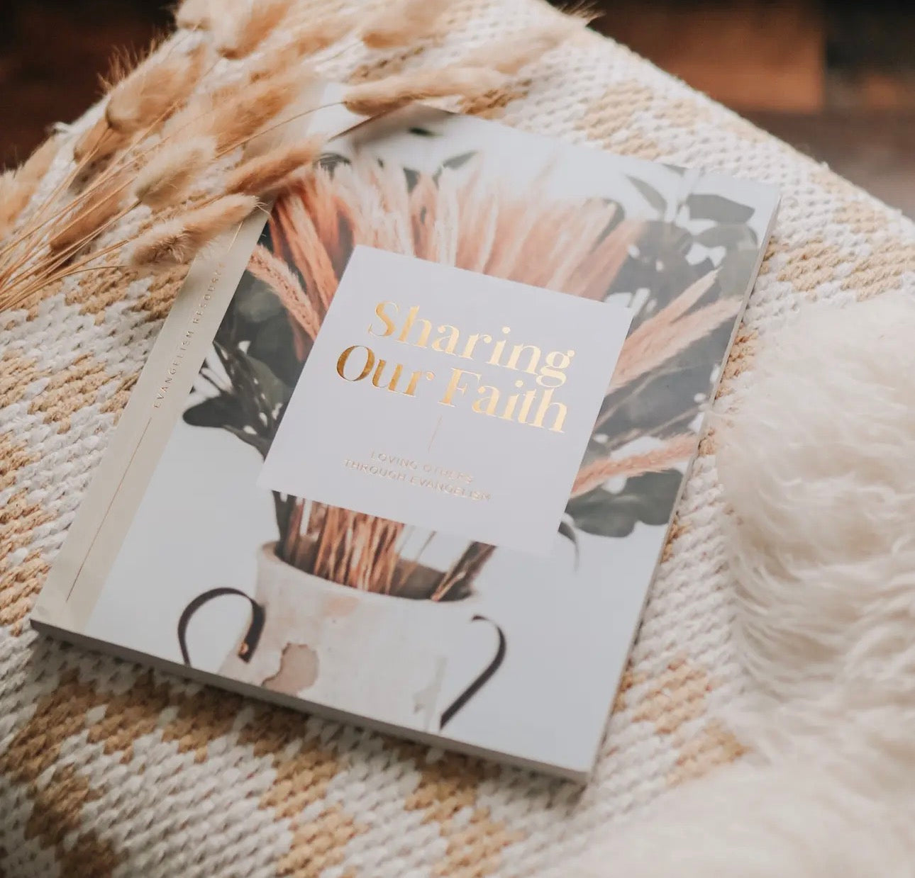 Sharing Our Faith ~ Daily Grace Bible Study Book