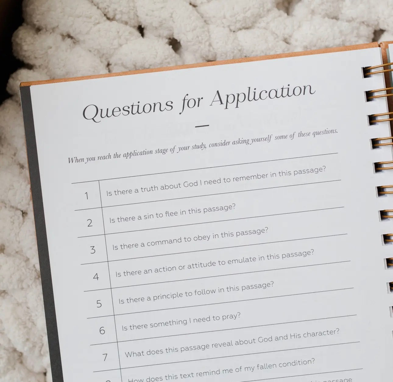 In the Word Daily Grace Journal - Embossed