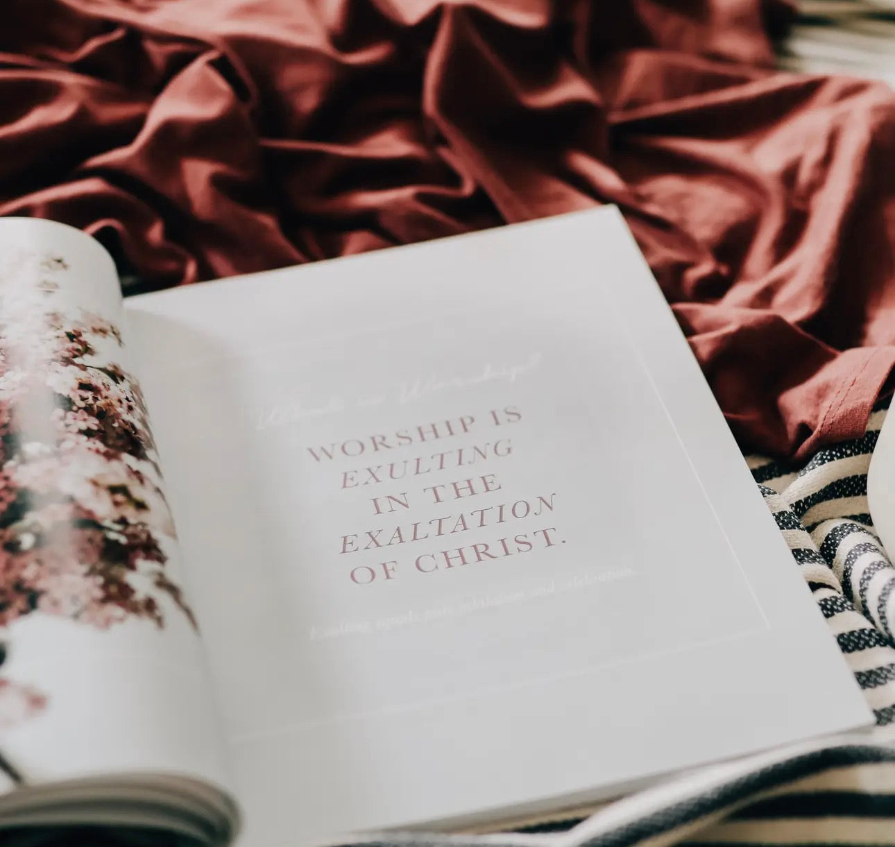 Worship ~ Daily Grace Bible Study Book