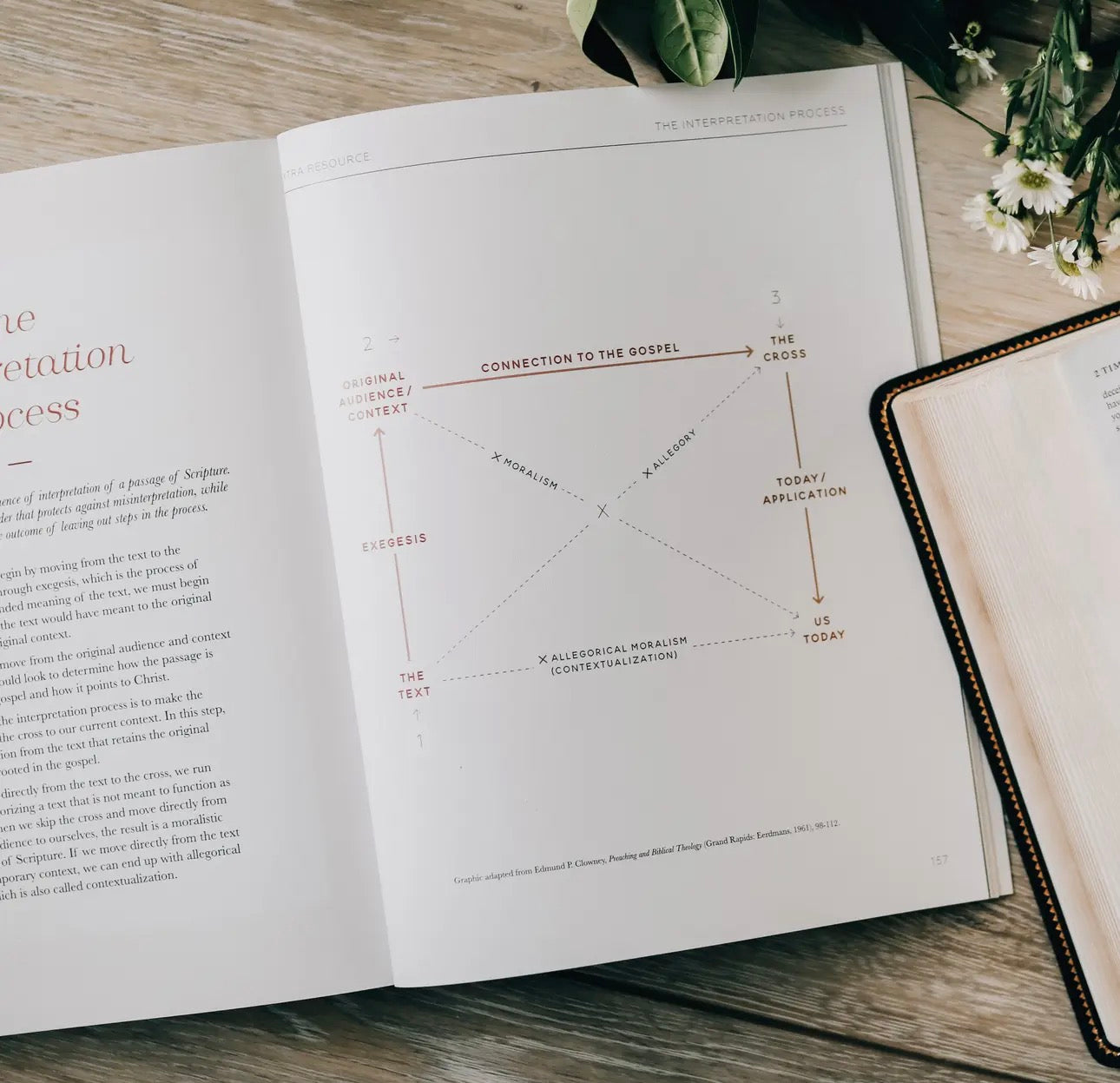 Search the Word ~ Daily Grace Bible Study Book