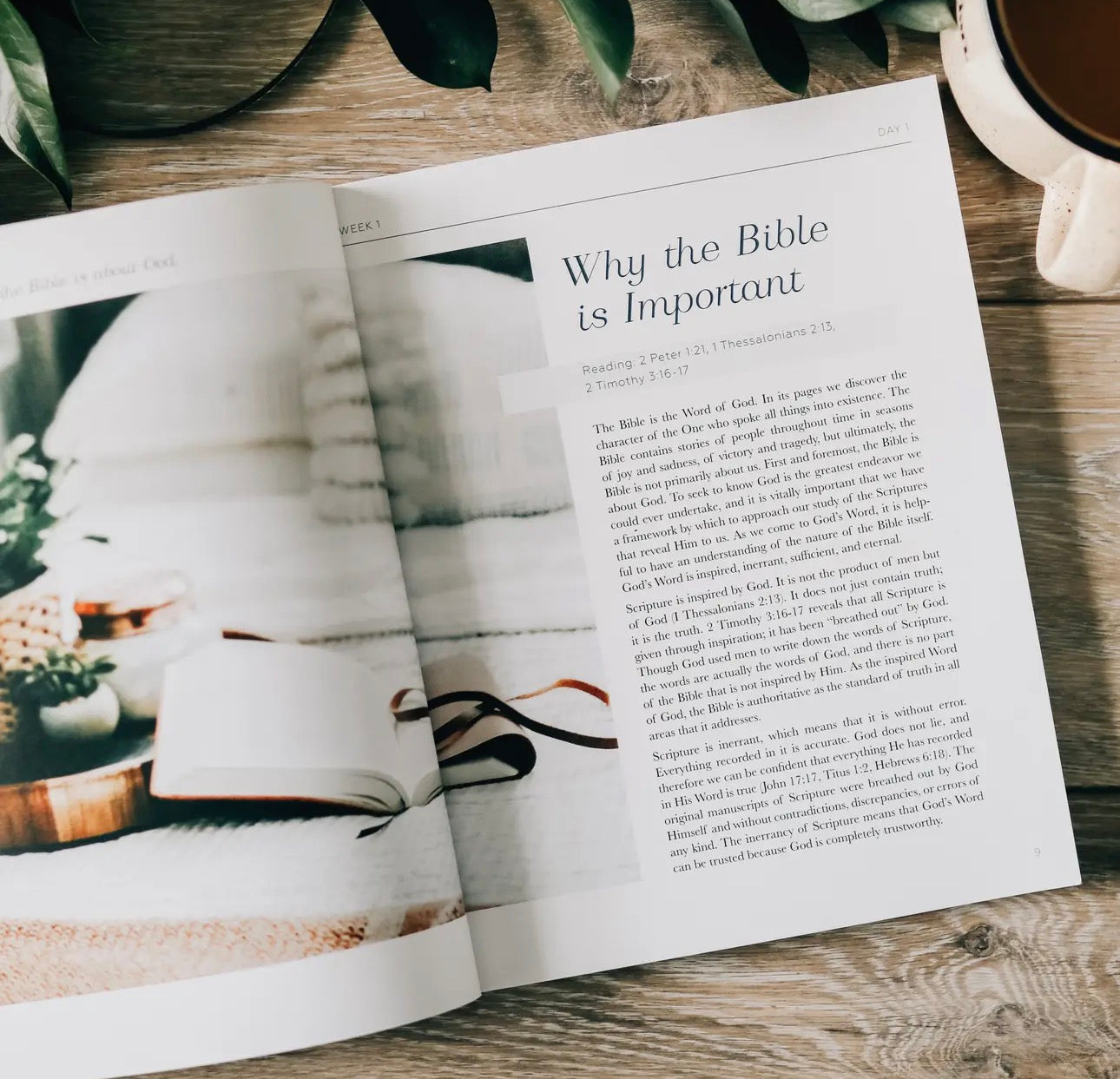 Search the Word ~ Daily Grace Bible Study Book