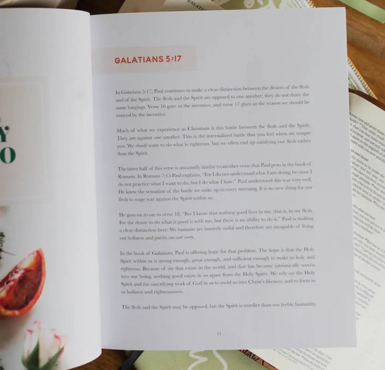 The Fruit of the Spirit ~ Daily Grace Bible Study Book