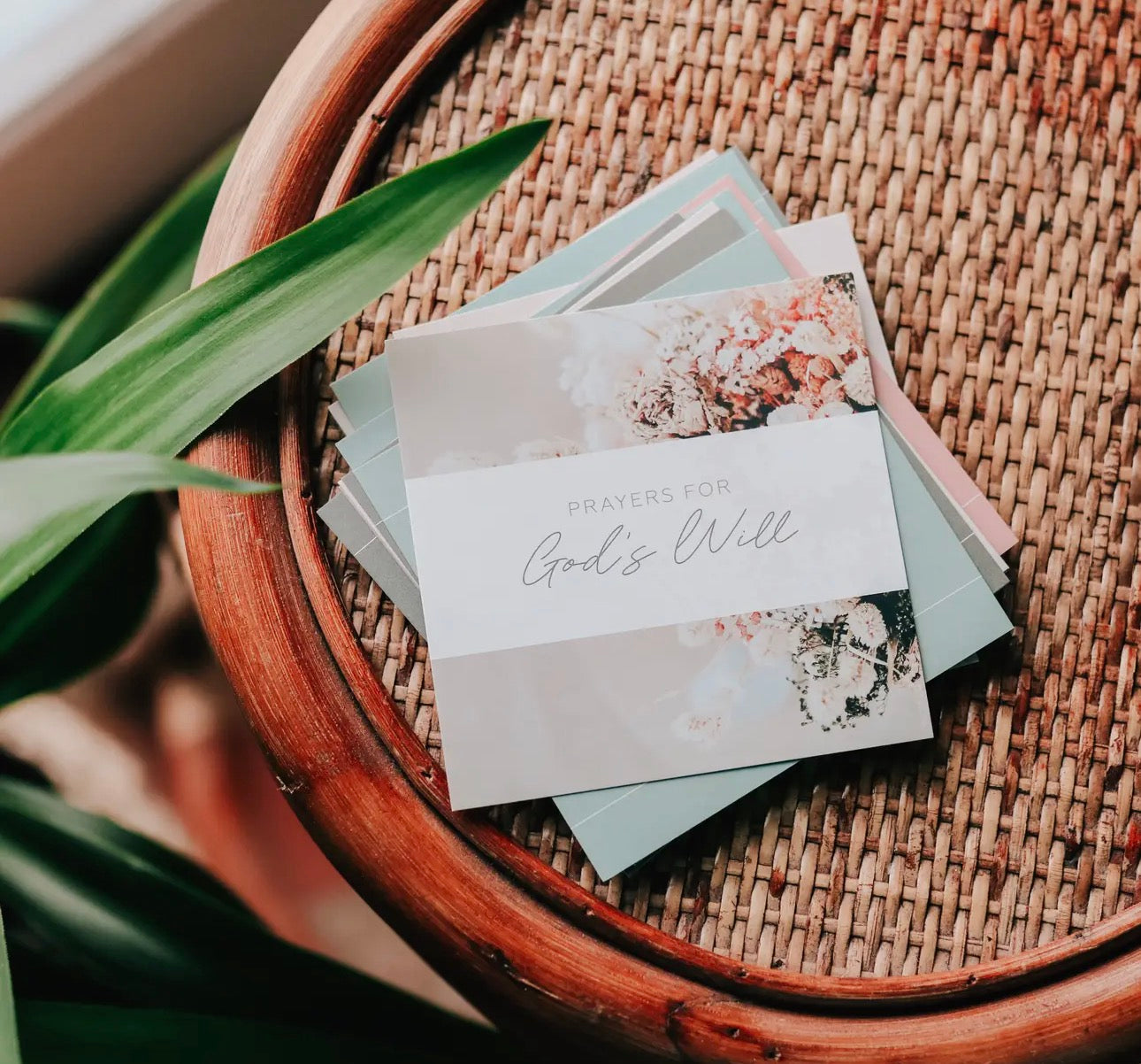 Prayers for God’s Will Verse Cards ~ Daily Grace