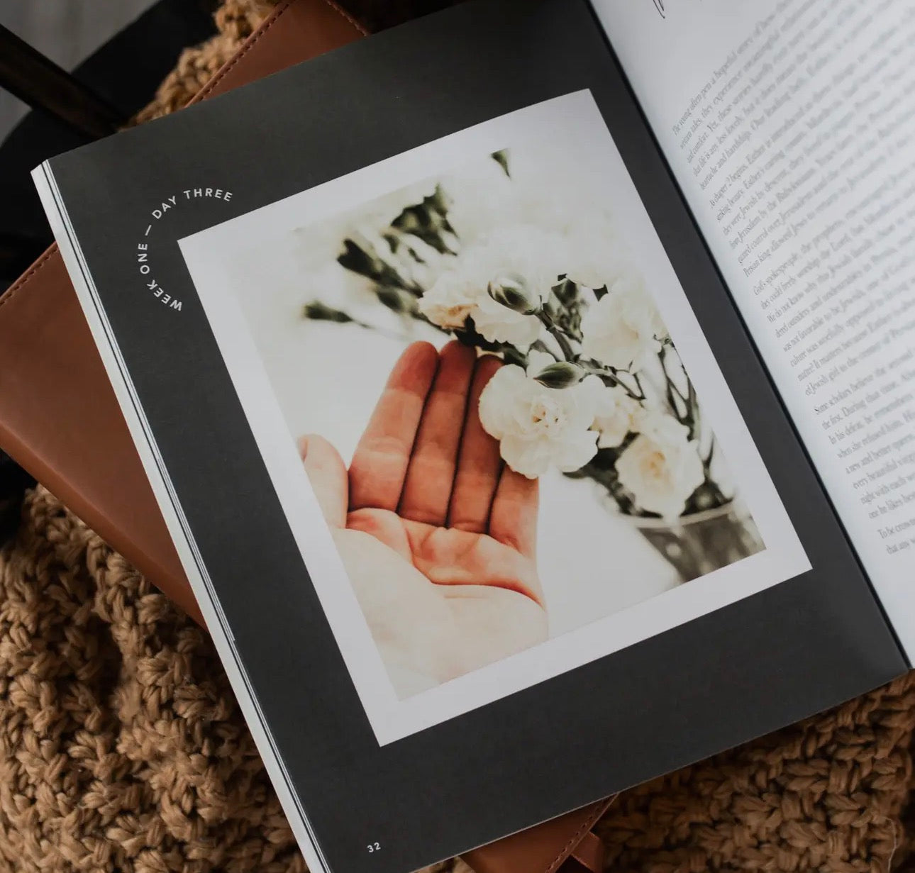 Esther ~ Daily Grace Bible Study Book