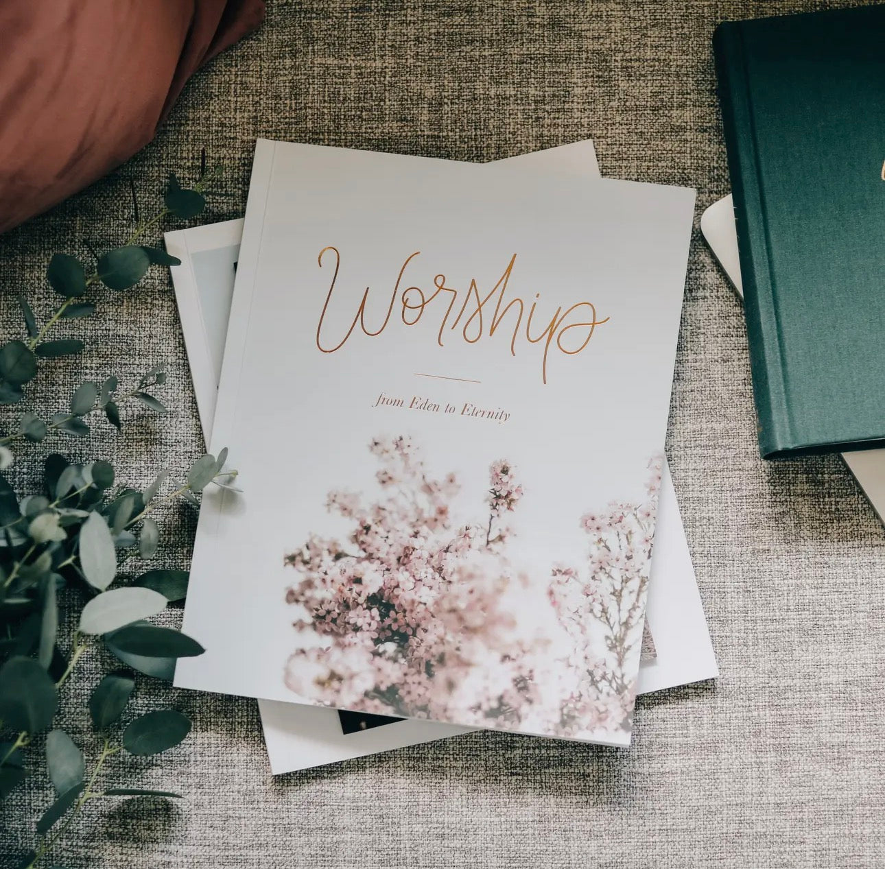 Worship ~ Daily Grace Bible Study Book
