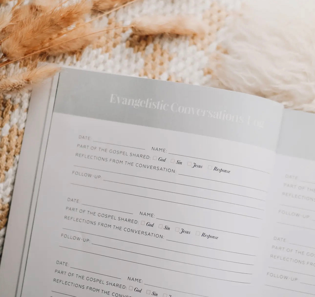 Sharing Our Faith ~ Daily Grace Bible Study Book