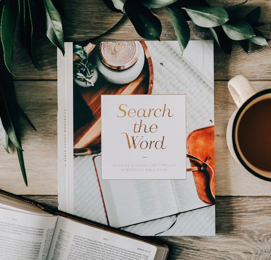 Search the Word ~ Daily Grace Bible Study Book