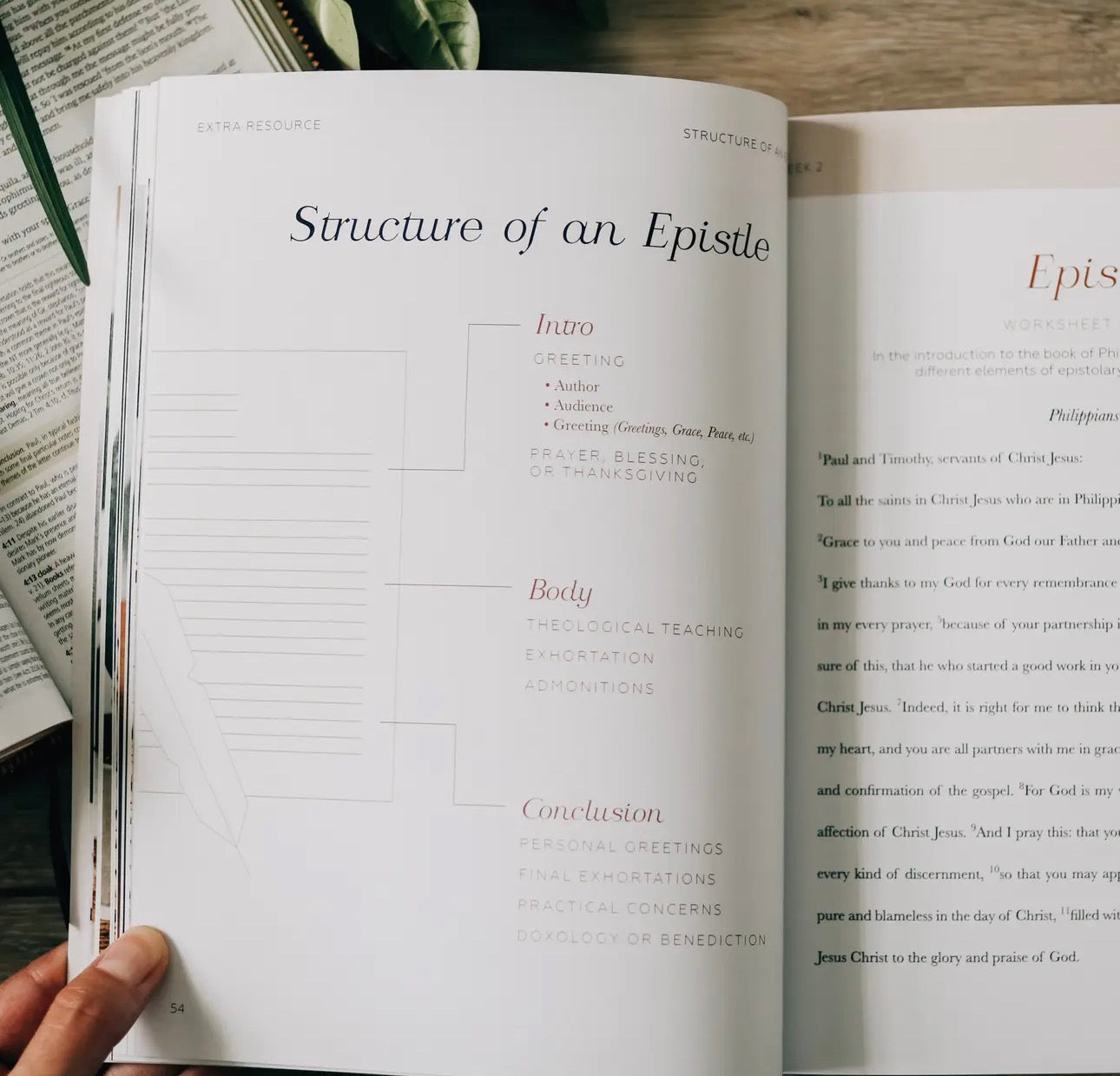 Search the Word ~ Daily Grace Bible Study Book