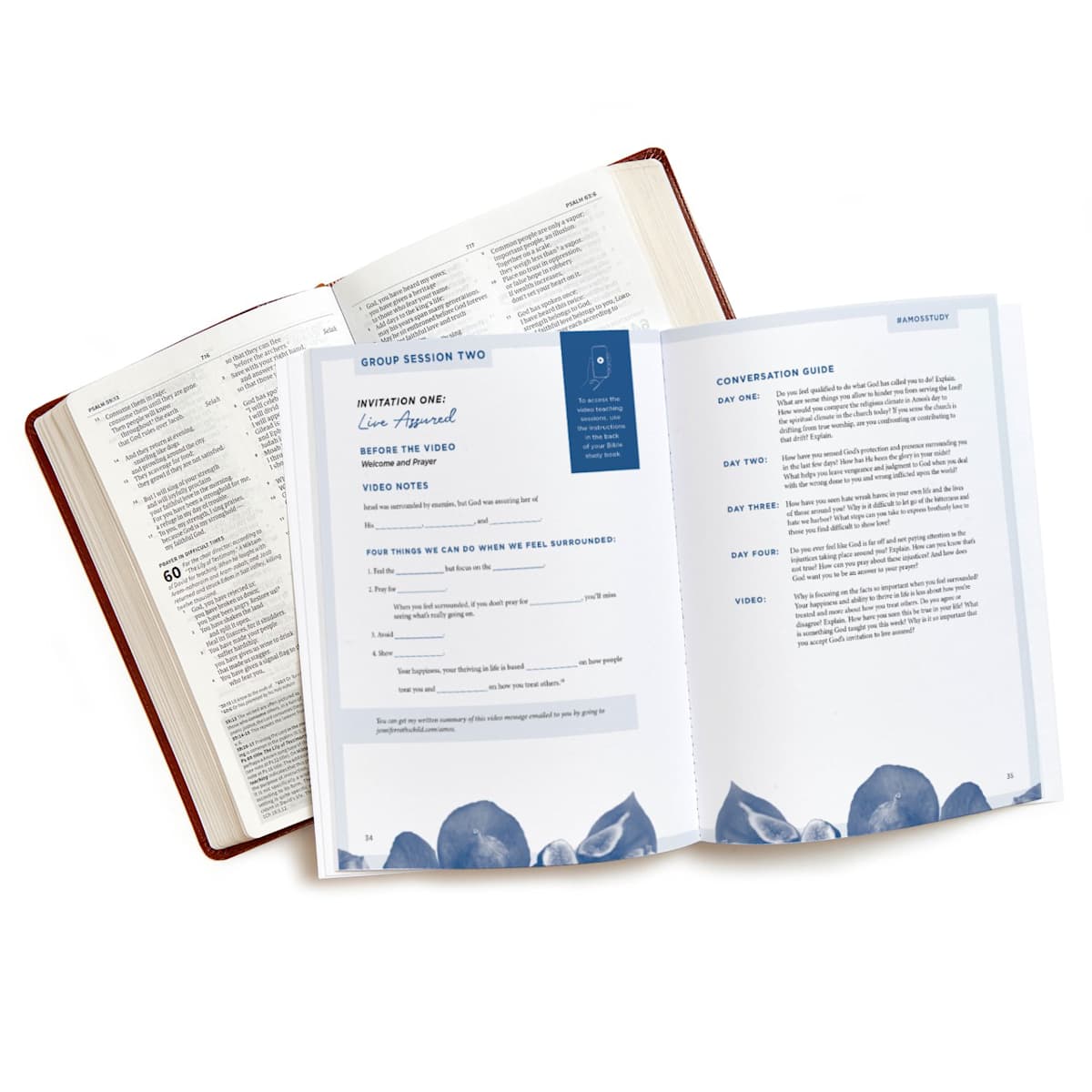 Amos - Bible Study Book with Video Access
