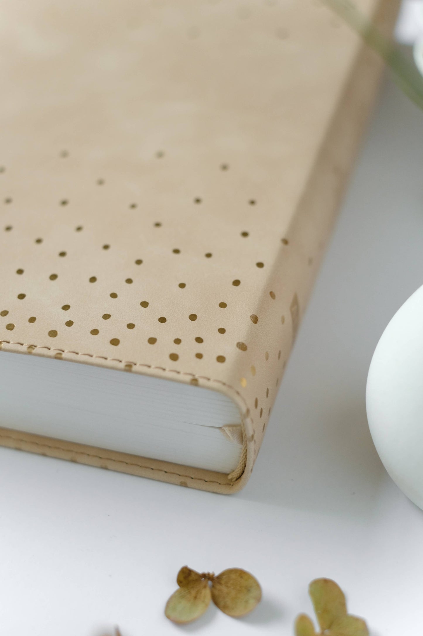 Mustard Seed Faith Devotional Bible—SKJV [Beige Polka Dots]iuybmnv<BV>