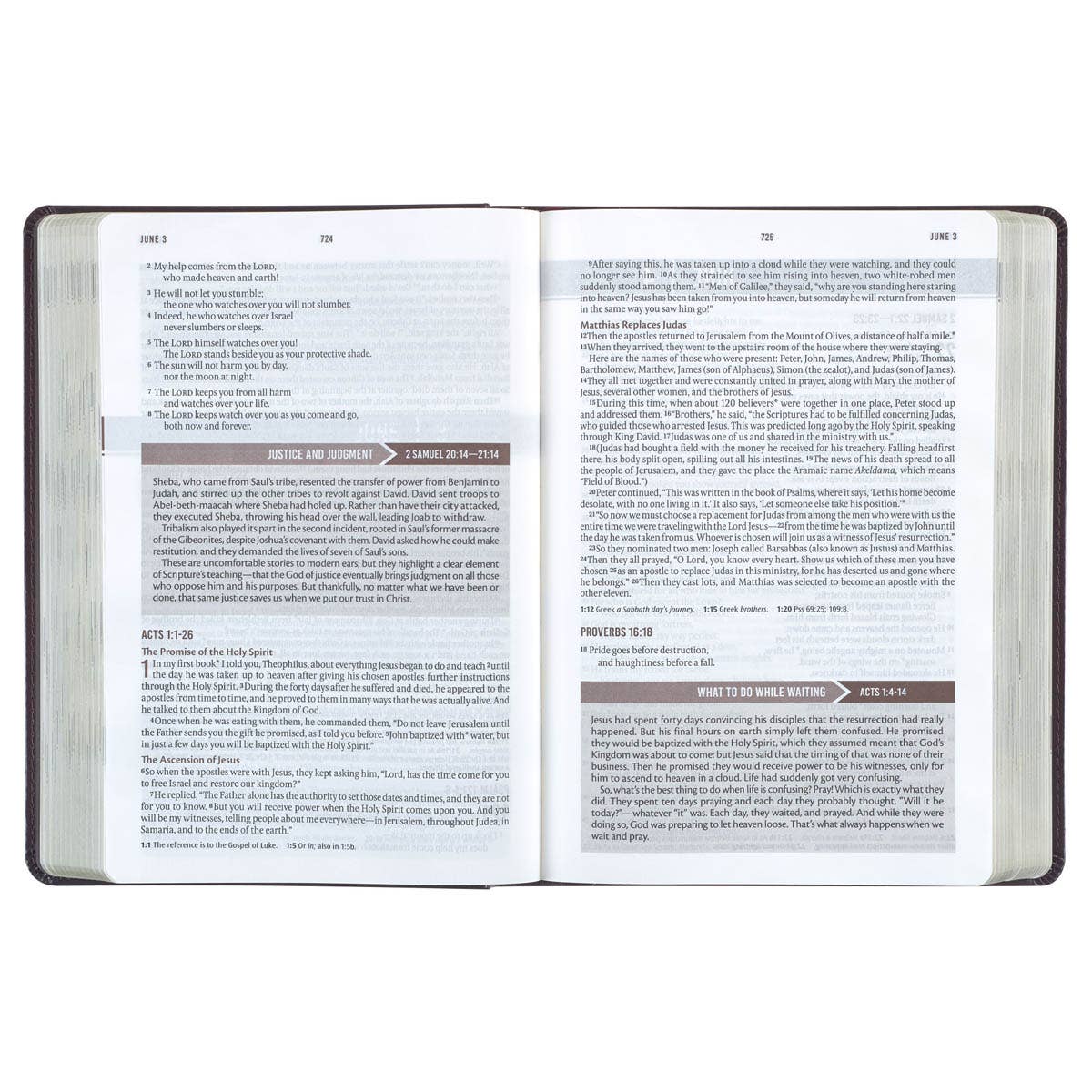 Devotional Bible NLT for Men Faux Leather Walnut Brown Cross