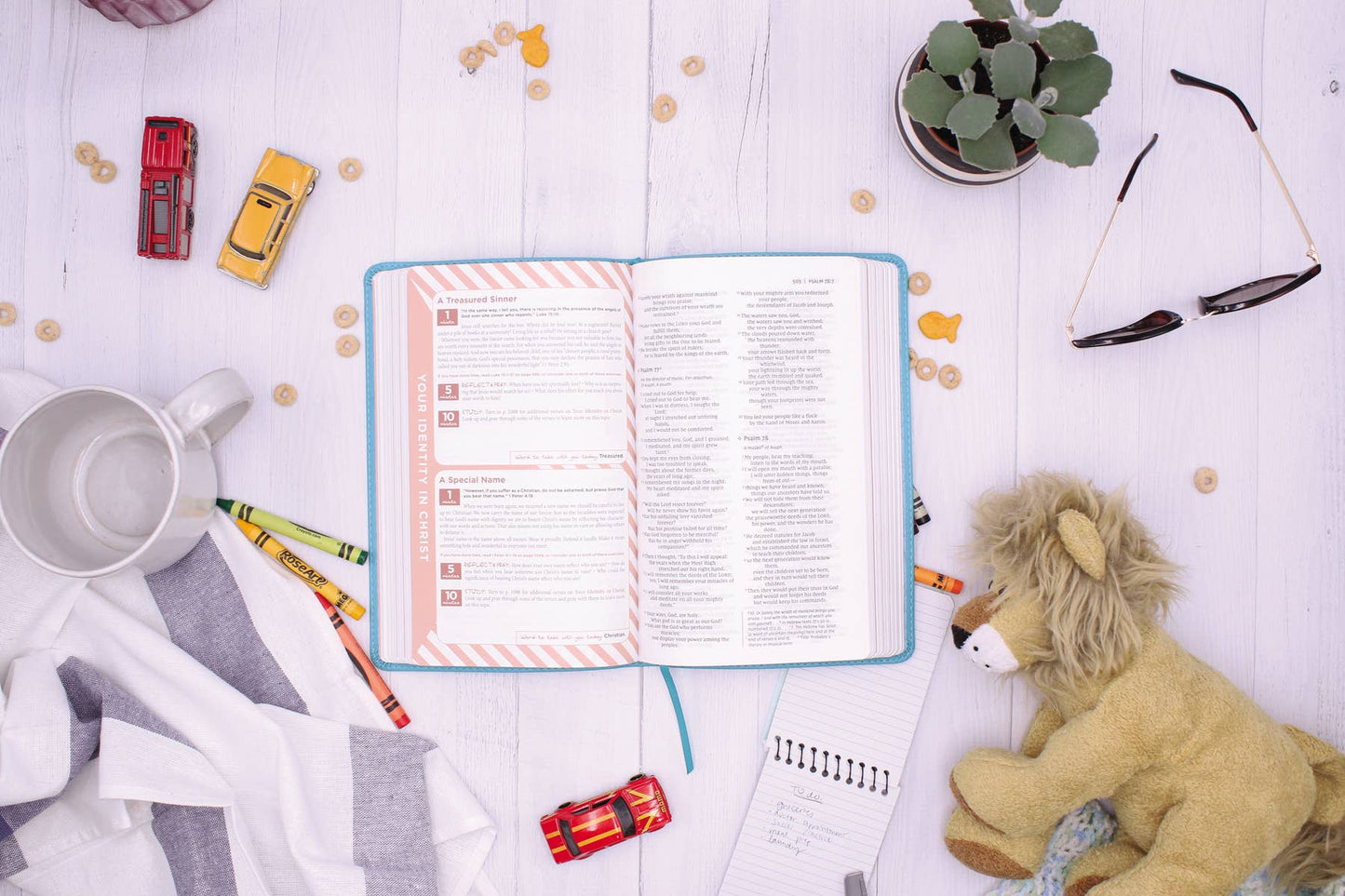 NIV, Busy Mom's Bible, The