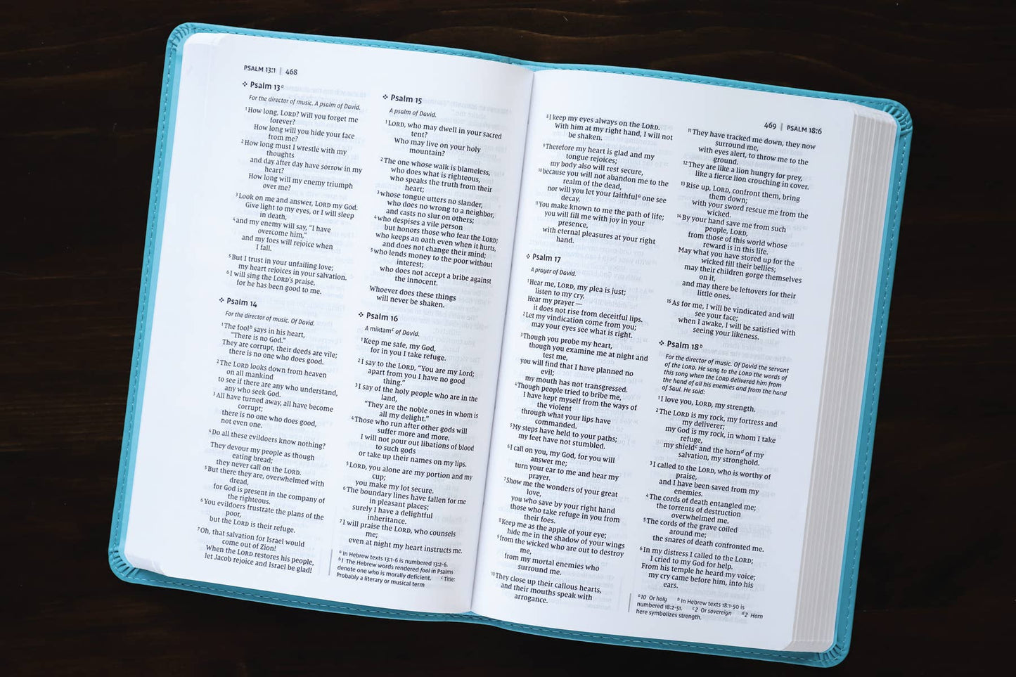 NIV, Value Thinline Bible