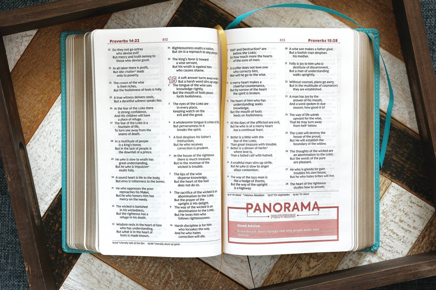 Nkjv, Teen Study Bible