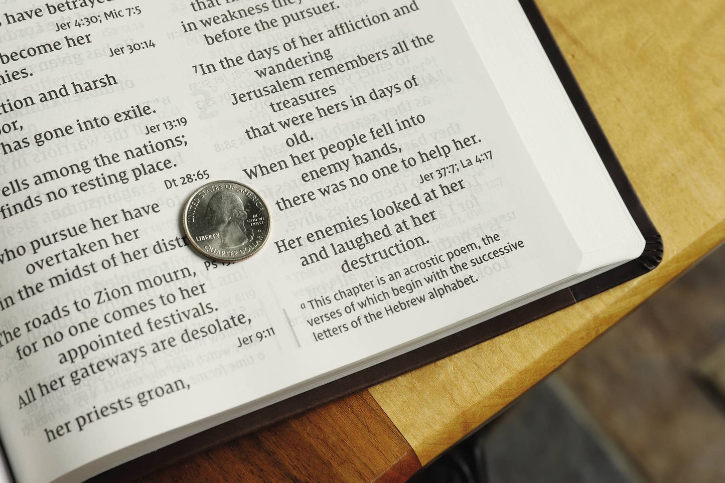 NIV, Super Giant Print Reference Bible
