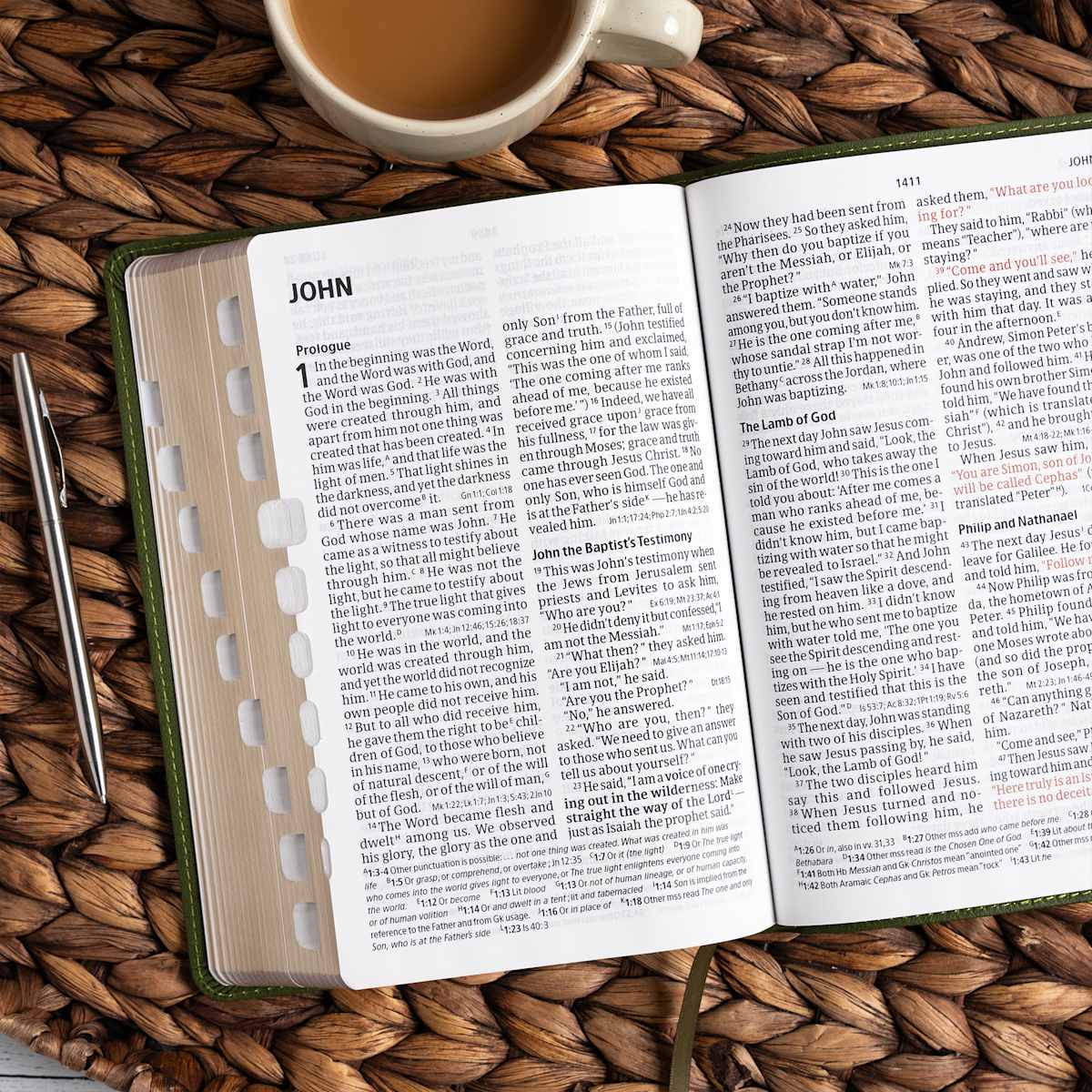 CSB Large Print Reference Bible, Olive LeatherTouch, Indexed
